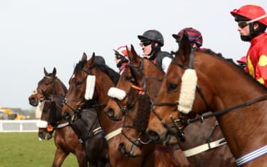 Today's Horse Racing Tips: Wednesday January 5th