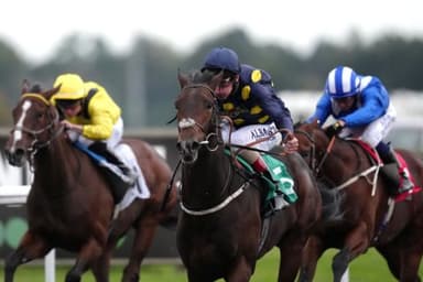 Today's Horse Racing Tips: Monday December 27th