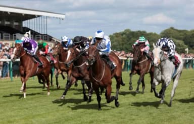 Saturday’s ITV Racing Tips: Ascot and Haydock, November 23rd