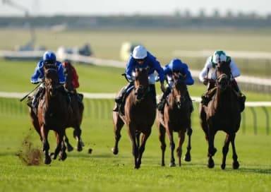 ITV Racing Tips: Newmarket and York, October 12th