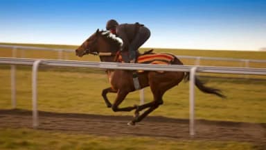 Thursday's Horse Racing Tips: Newmarket, June 27th