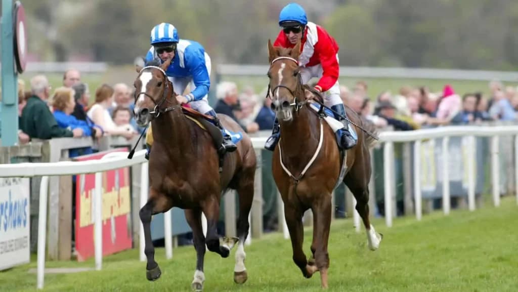 Tuesday's Horse Racing Tips: Beverley, July 16th