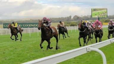 Wednesday's Horse Racing Tips: Goodwood, September 25th