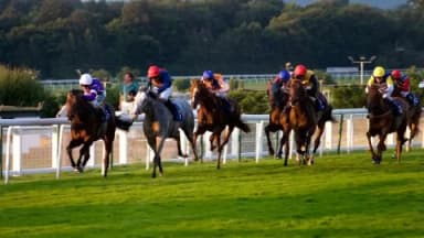 Saturday’s Horse Racing Tips: Haydock, Sandown,  July 6th