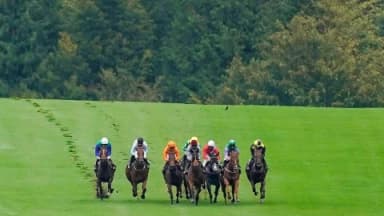 Friday's Horse Racing Tips: Goodwood, May 24th