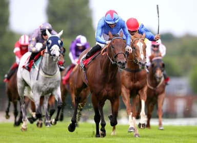 Saturday's Horse Racing Tips: January 8th
