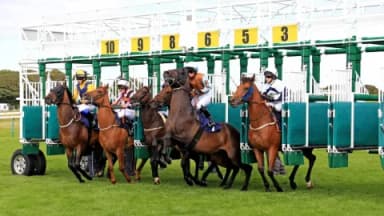 Tuesday's Horse Racing Tips: Brighton, July 2nd